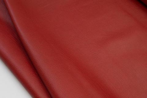 Буффало, слон