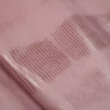 Кожа Ящерица, ирис