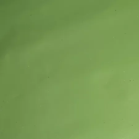 Кожа Неаполь салатовый