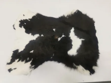 Кожа Шкура коровы 