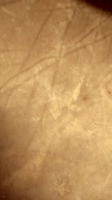 Кожа ВОРОТОК ПОДОШВЕННЫЙ, ЦВЕТ НАТУРАЛЬНЫЙ