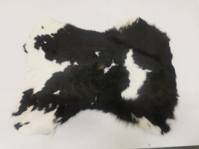Кожа Шкура коровы 